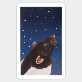 Agouti Hooded Rat Stargazing Sticker